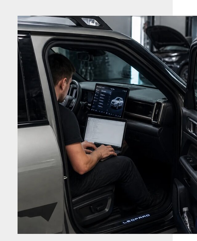 Русификация BYD Leopard 3 в Искитиме по цене от 20282 р. | ФастМобиль-Скм